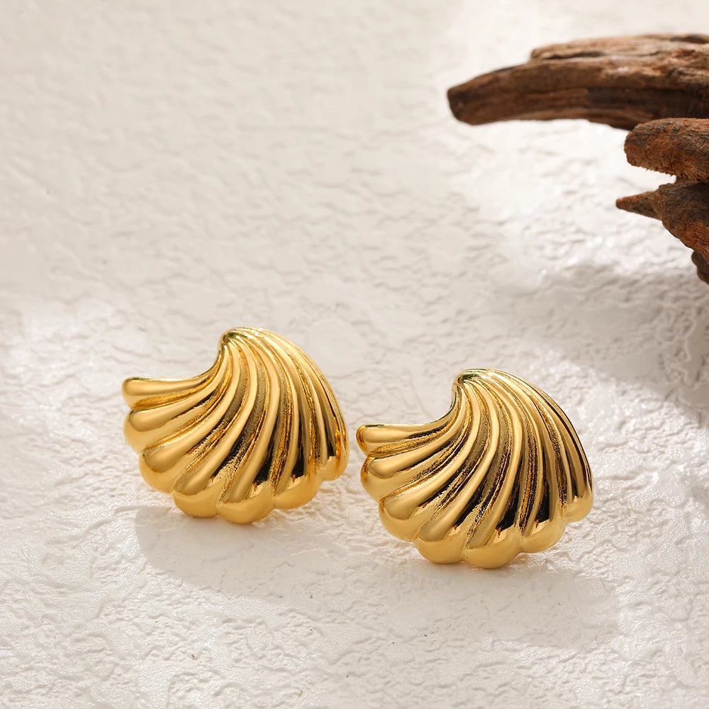 Stainless Steel Shell Earrings for Women