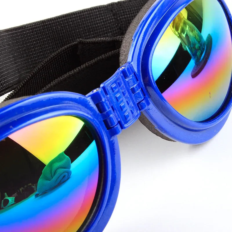 Dog Sunglasses