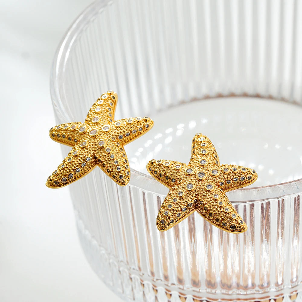 Stainless Steel Shell Earrings for Women