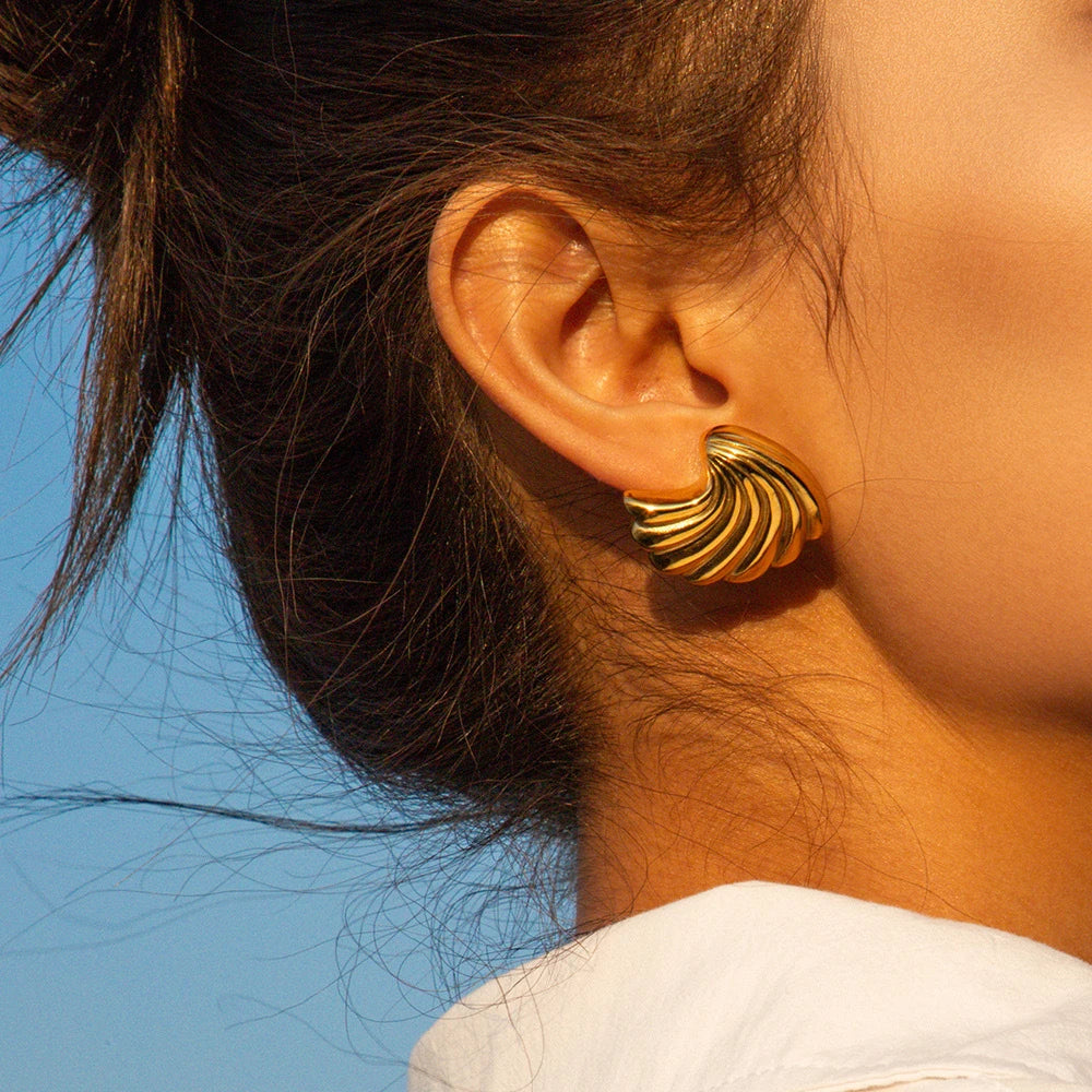 Stainless Steel Shell Earrings for Women
