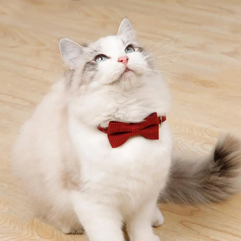 Bow Tie Adjustable Cat Collar