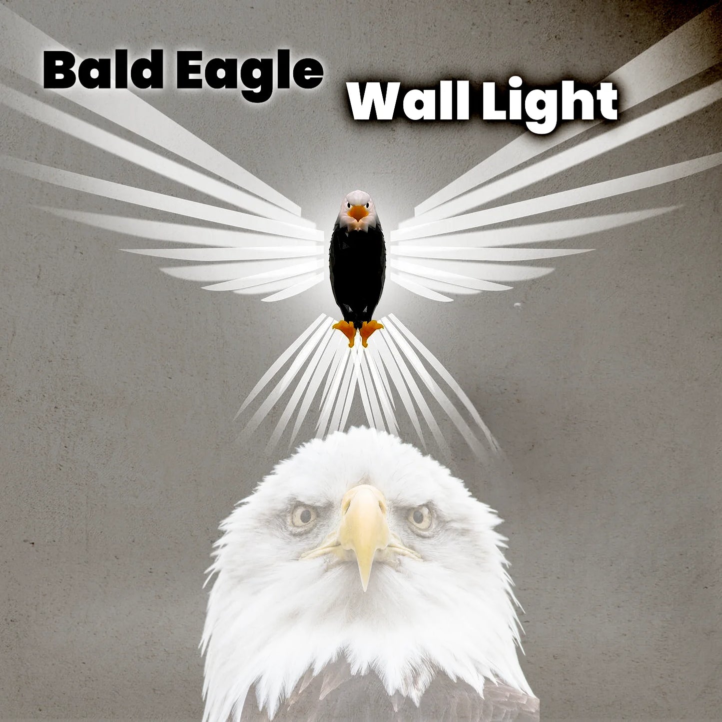 Bald Eagle Night Light Rechargeable