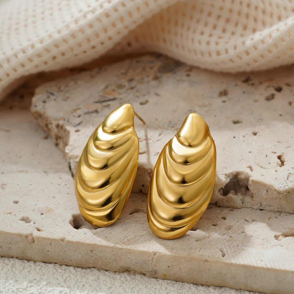 Stainless Steel Shell Earrings for Women