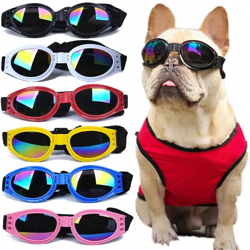 Dog Sunglasses