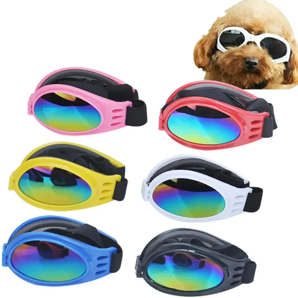 Dog Sunglasses