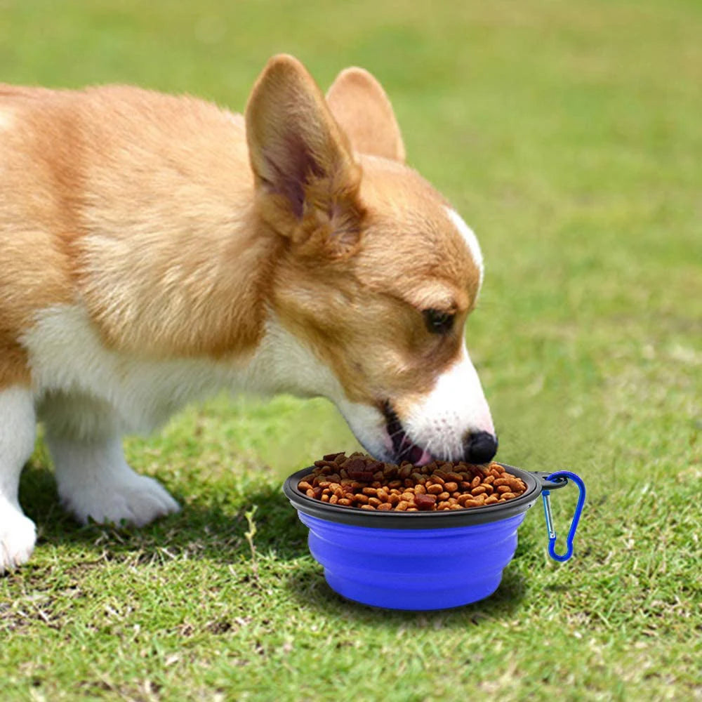 Travel Folding Dog/Cat Feeder Bowl With Carabiner